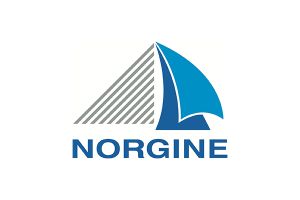 Logo Norgine